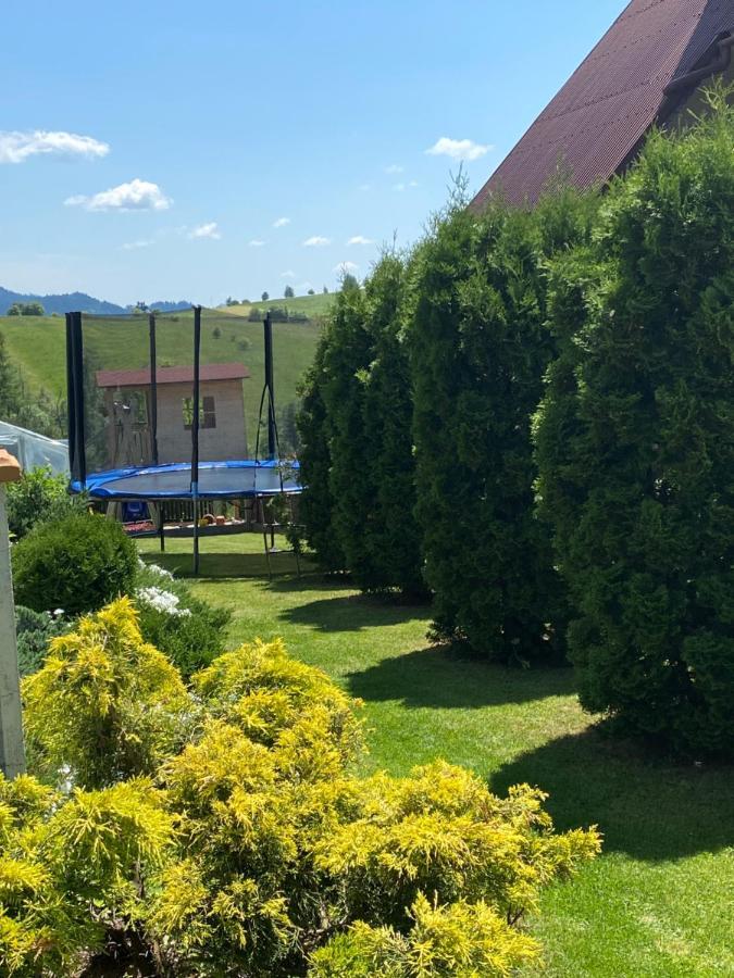 Agroturystyka U Ireny Mizerna Bagian luar foto